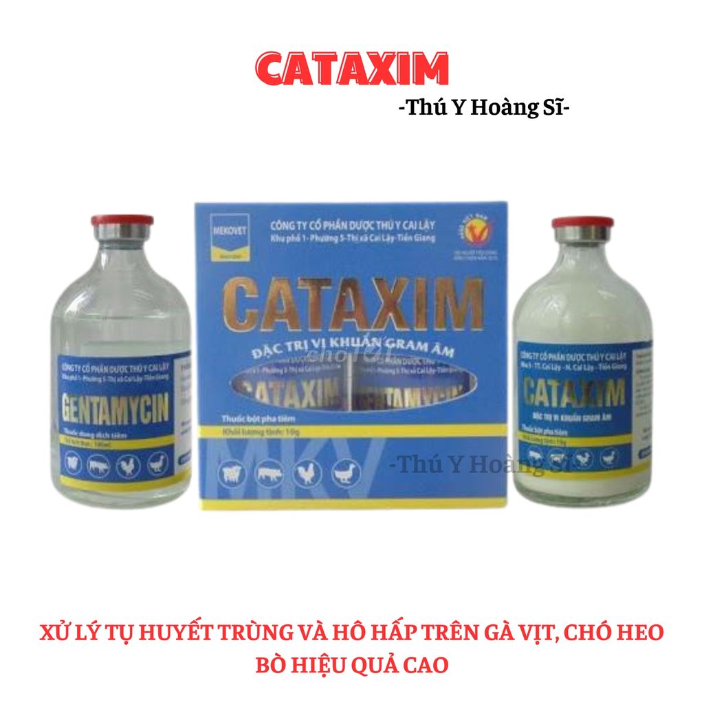 Cataxim Xử lý tụ huyết trùng, hô hấp trên gia cầm