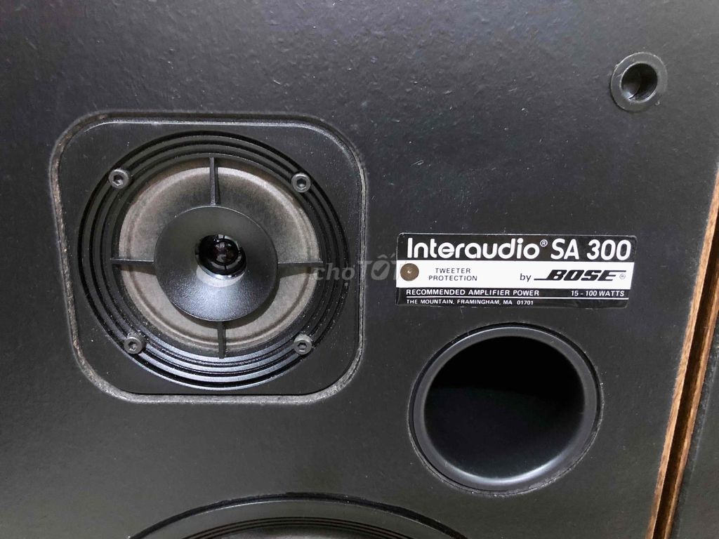 Loa Bose Interaudio SA 300