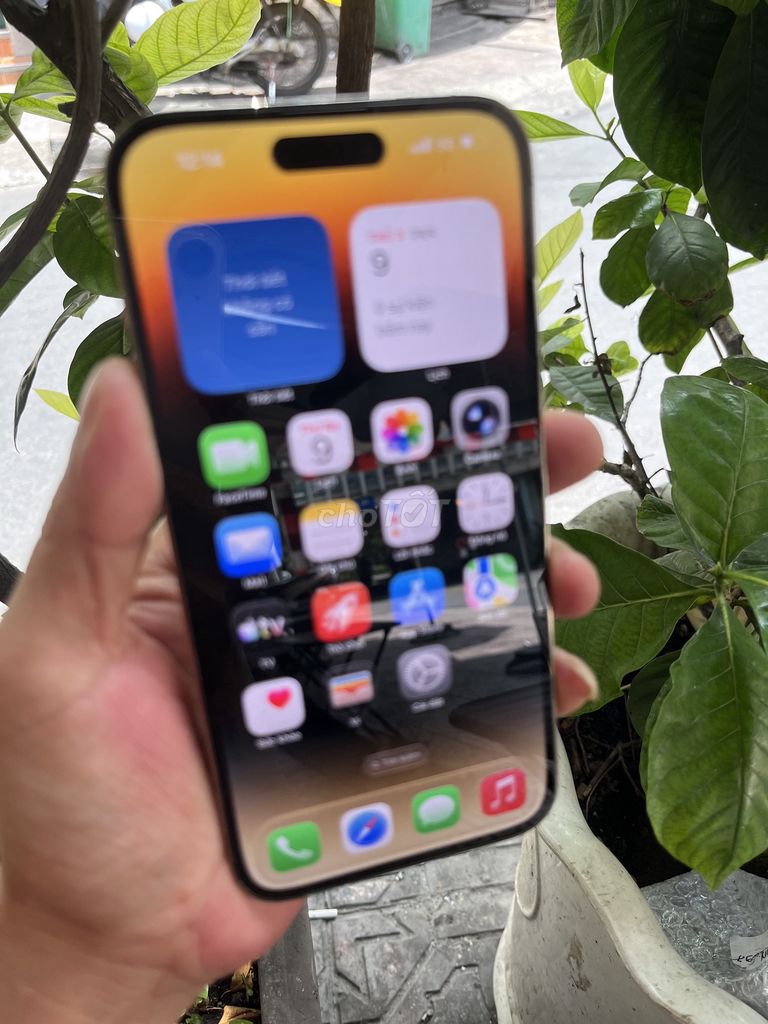 iPhone 14 Pro Max 128GB Vàng VN/A pin 94 thay màn. Mua bán Điện thoại tại Quận Phú Nhuận Tp Hồ Chí Minh được đăng bởi Nguyễn tuấn kiệt  hình 1