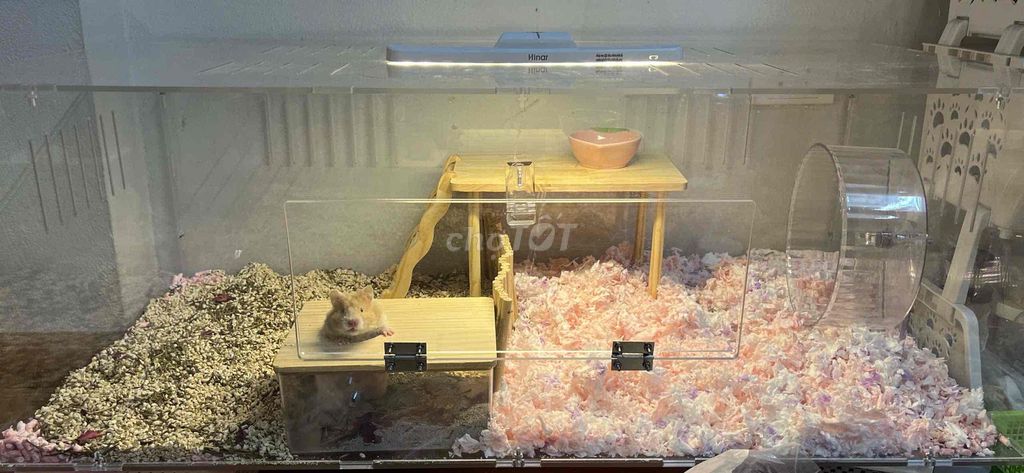 Chuồng nuôi Mica 1 mét 5 li. Mua bán Phụ kiện, Thức ăn, Dịch vụ tại Quận Tây Hồ Hà Nội được đăng bởi Trần Việt Khoa hình 1