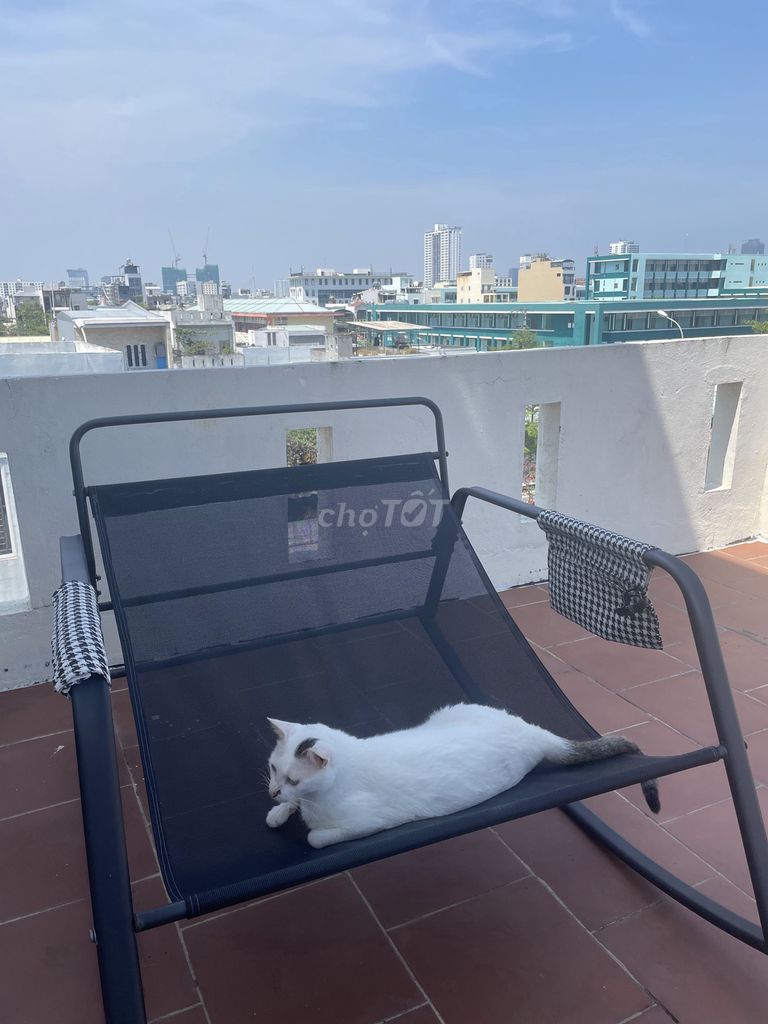 Cosy 1-bedroom apartment 5 minutes' walk from My Khe beach — photo 7