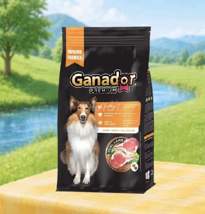 Thức ăn cho chó Ganador thịt cừu 3kg. Mua bán Phụ kiện, Thức ăn, Dịch vụ tại Quận Thanh Khê Đà Nẵng được đăng bởi Công ty TNHH MTV Huynh Đệ Phát hình 1