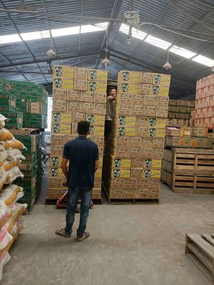 CTY TNHH.VT ĐỨC HOÀNG 316.QL 1A. TD logo