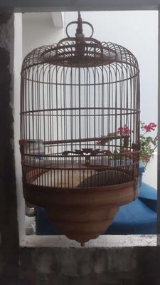 thanh lý lòng hà nội. Mua bán Phụ kiện, Thức ăn, Dịch vụ tại Quận 8 Tp Hồ Chí Minh được đăng bởi Quang Nguyễn