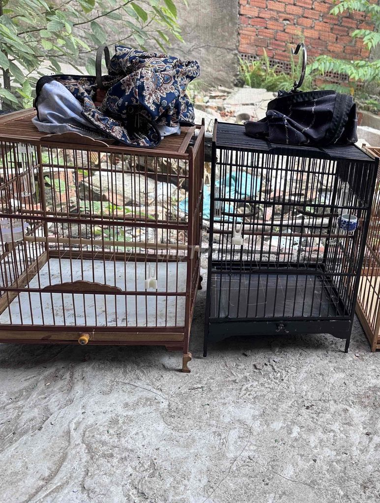 Lồng chim Gỗ Nâu, Đen còn đủ nan. Mua bán Phụ kiện, Thức ăn, Dịch vụ tại Quận Tân Phú Tp Hồ Chí Minh được đăng bởi luân hình 1