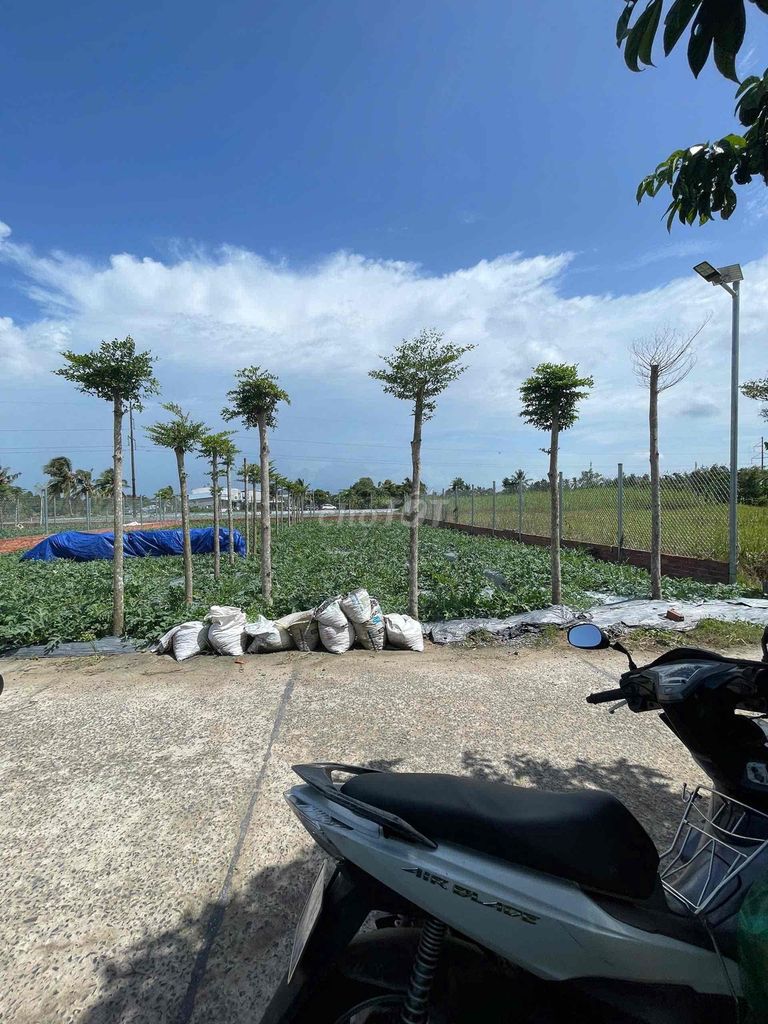 NỀN THỔ CƯ XÂY TRỌ OK GẦN ĐẠI HỌC NAM CẦN THƠ, FPT, CHỢ MỸ KHÁNH. Mua bán đất tại Huyện Phong Điền Cần Thơ được đăng bởi Nguyễn Văn Hiếu hình 1