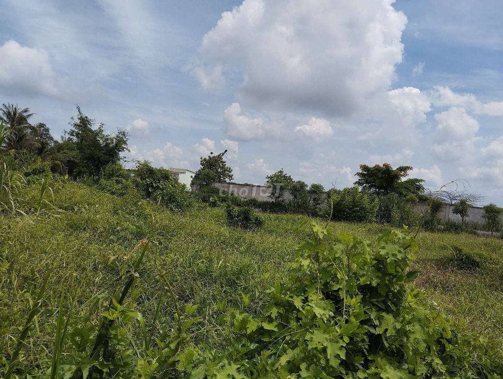 BÁN ĐẤT Ở+VƯỜN xã Phú Túc -Châu Thành Bến Tre