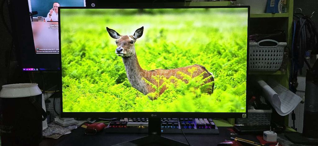 Màn hình LG 27inch, full viề 27MK60, 75Hz,sáng đẹp. Mua bán Phụ kiện (Màn hình, Chuột...) tại Quận Bình Tân Tp Hồ Chí Minh được đăng bởi Linh hình 1