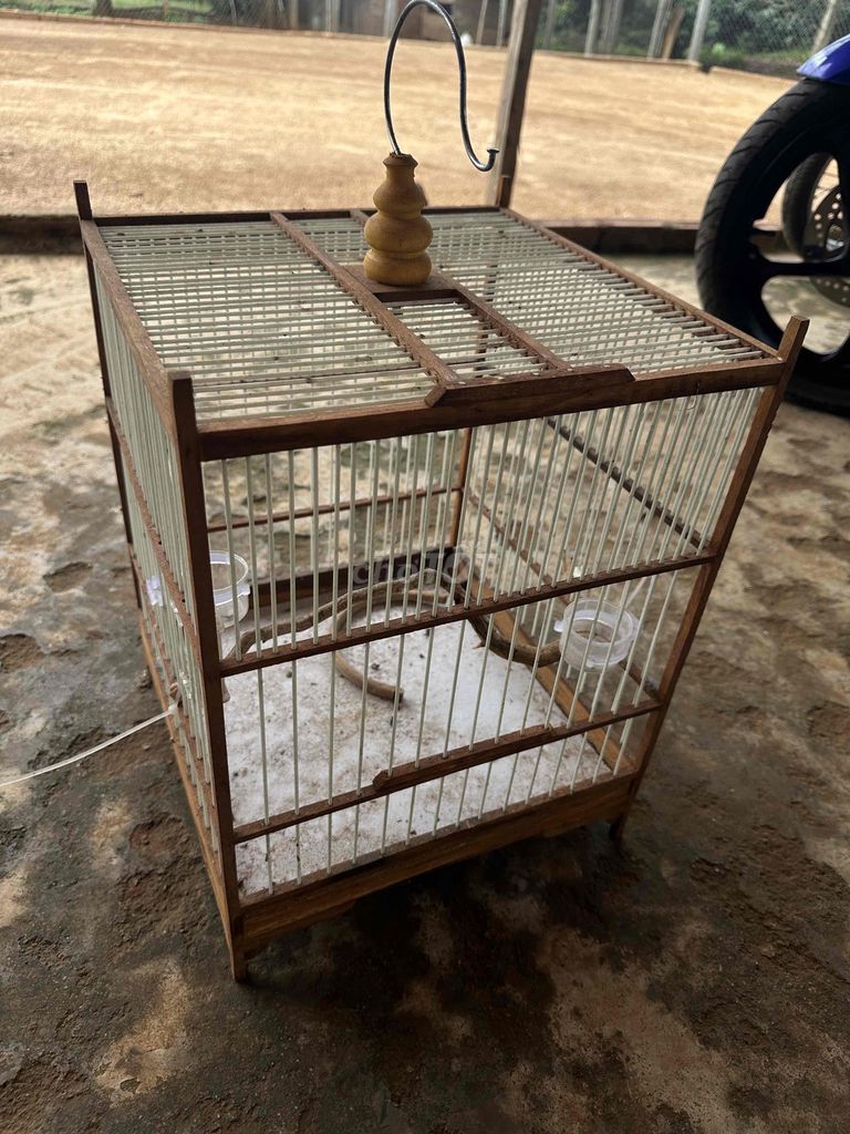 Lồng chim Gỗ, Nhựa Nâu, Trắng. Mua bán Phụ kiện, Thức ăn, Dịch vụ tại Huyện Krông Năng Đắk Lắk được đăng bởi Quoc Anh Dinh hình 1