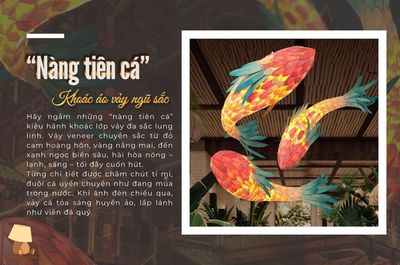 Đèn cá chép. Mua bán Đèn tại Quận 12 Tp Hồ Chí Minh được đăng bởi Phạm Thanh Liêm