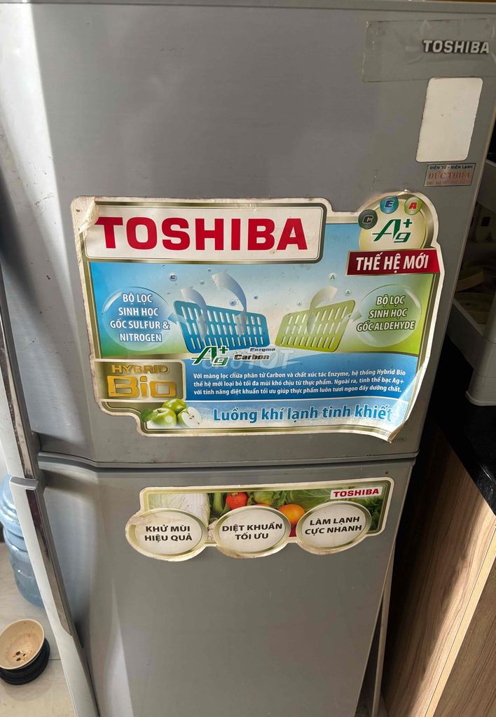 Tủ lạnh Toshiba Hybrid Bio 120L. Mua bán Tủ lạnh tại Thành phố Dĩ An Bình Dương được đăng bởi bui nguyen hình 1