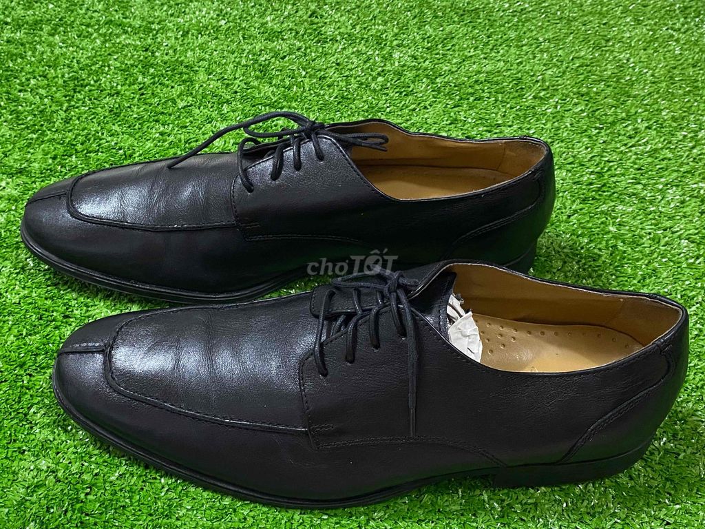 Giày da nam hàng hiệu  COLE HAAN (Anh Quốc)