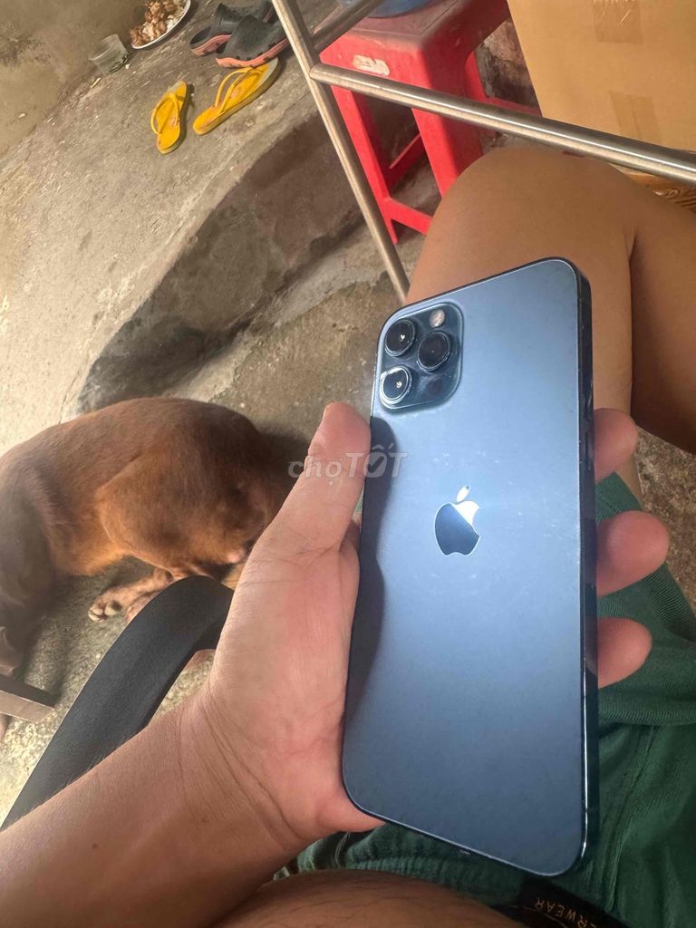 Apple iPhone 12 Pro Max Xanh 84%. Mua bán Điện thoại tại Thị xã Tân Uyên Bình Dương được đăng bởi binhduonghelo hình 1