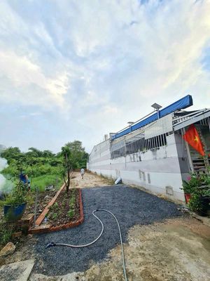 Bán Đất Tại Phường Tương Bình Hiệp,Thủ Dầu1BD giá1,88 tỷ/DT203 m2 SHR. Mua bán đất tại Thành phố Thủ Dầu Một Bình Dương được đăng bởi Phượng Hồng