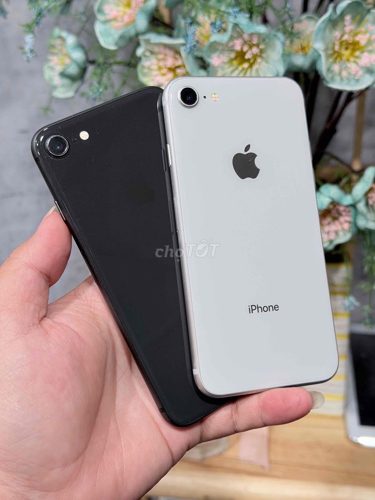 ip8 nhỏ zin đẹp pin 100% bán hay gl bù trừ. Mua bán Điện thoại tại Thành phố Biên Hòa Đồng Nai được đăng bởi HUNG  hình 1
