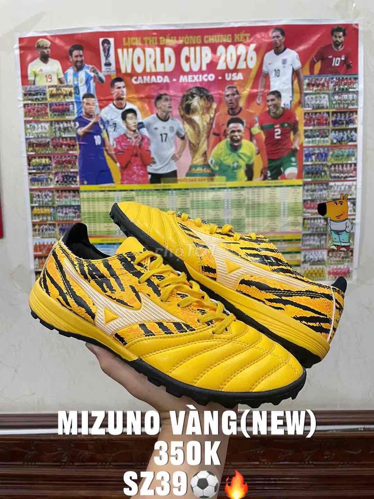 Giày đá bóng Mizuno Nam Vàng Size 39. Mua bán Đồ thể thao, Dã ngoại tại Thành phố Móng Cái Quảng Ninh được đăng bởi hưng dz hình 1