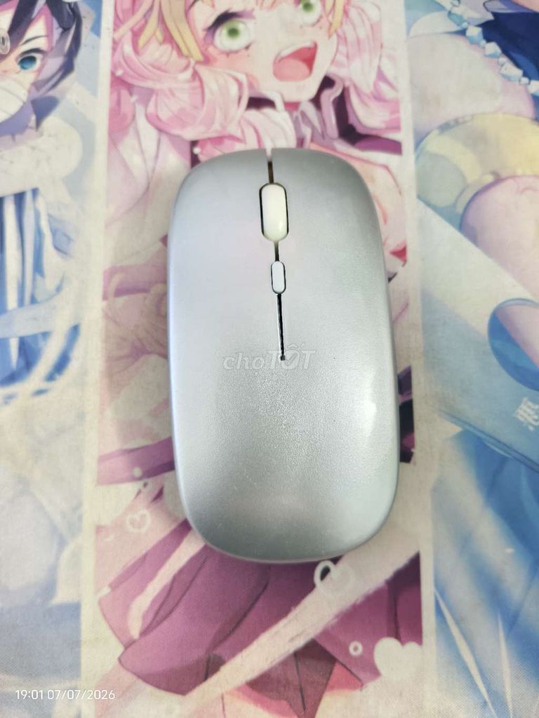 Chuột Logitech Bạc Like New. Mua bán Phụ kiện (Màn hình, Chuột...) tại Huyện Mỹ Xuyên Sóc Trăng được đăng bởi Nguyen Nghia hình 1