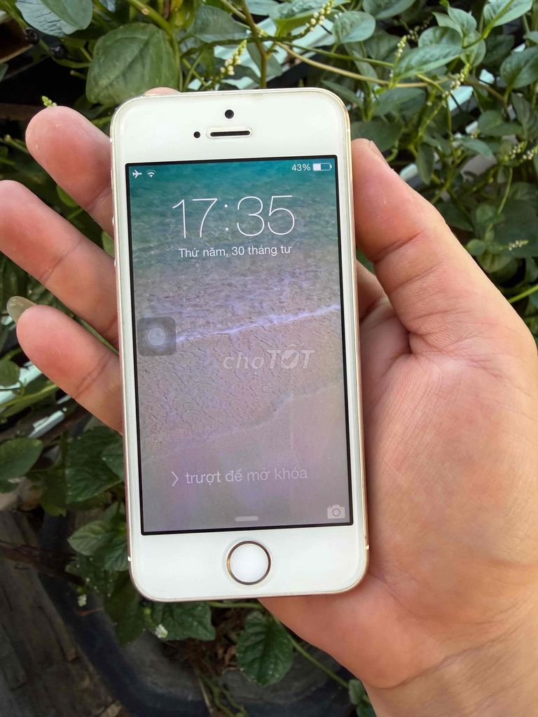 Apple iPhone 5s 16GB Vàng. Mua bán Điện thoại tại Thành phố Thuận An Bình Dương được đăng bởi phuclouis hình 1