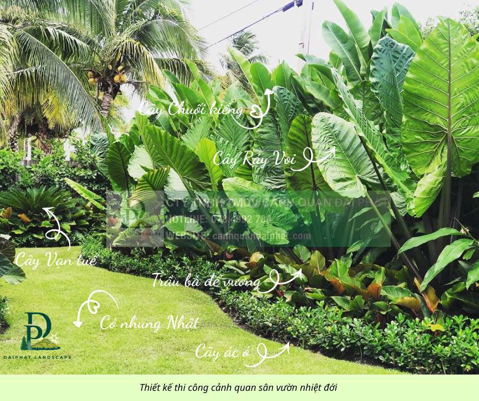 Thiết kế thi công cảnh quan sân vườn mới nhất 2026. Dịch vụ tại Huyện Long Thành Đồng Nai được đăng bởi CẢNH QUAN ĐẠI PHÁT  hình 1