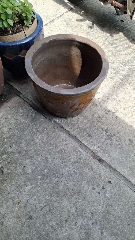 Chậu cây gốm Nâu Cổ điển cốt dày. Mua bán Cây cảnh, đồ trang trí tại Quận 4 Tp Hồ Chí Minh được đăng bởi  mr thắng second  hình 1