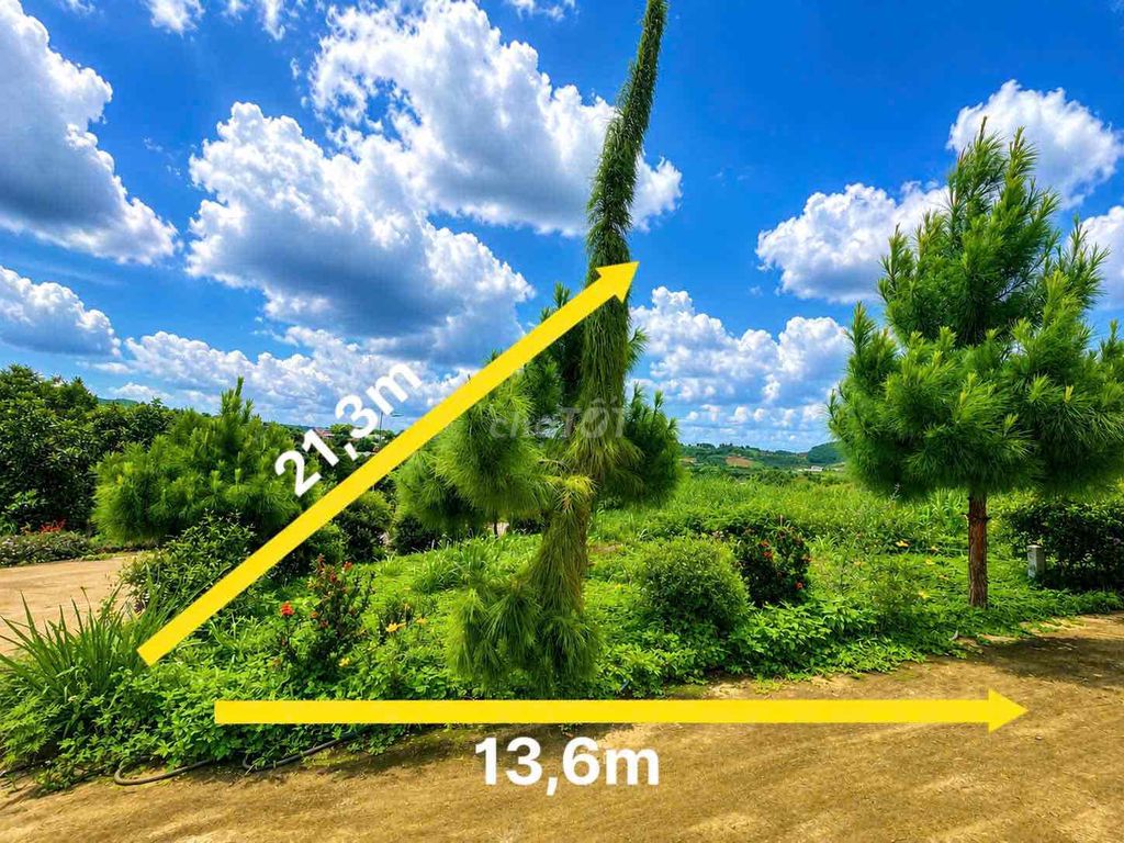 Bán lô 2MT giá rẻ nhất dự án Lâm Hà, Lâm Đồng