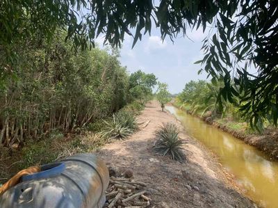 🌿 BÁN 2,1 CÔNG ĐẤT VƯỜN ĐÃ CẢI TẠO – SẴN CANH TÁC / NGHỈ DƯỠNG 🌿
