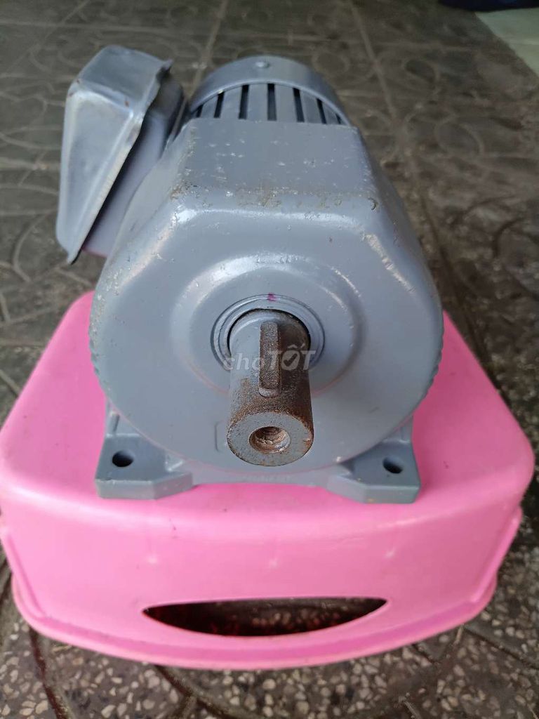 Mô tơ giảm tốc 220V 1/2 HP. Mua bán Đồ chuyên dụng, Giống nuôi trồng tại Quận Ninh Kiều Cần Thơ được đăng bởi Hữu Đức hình 1