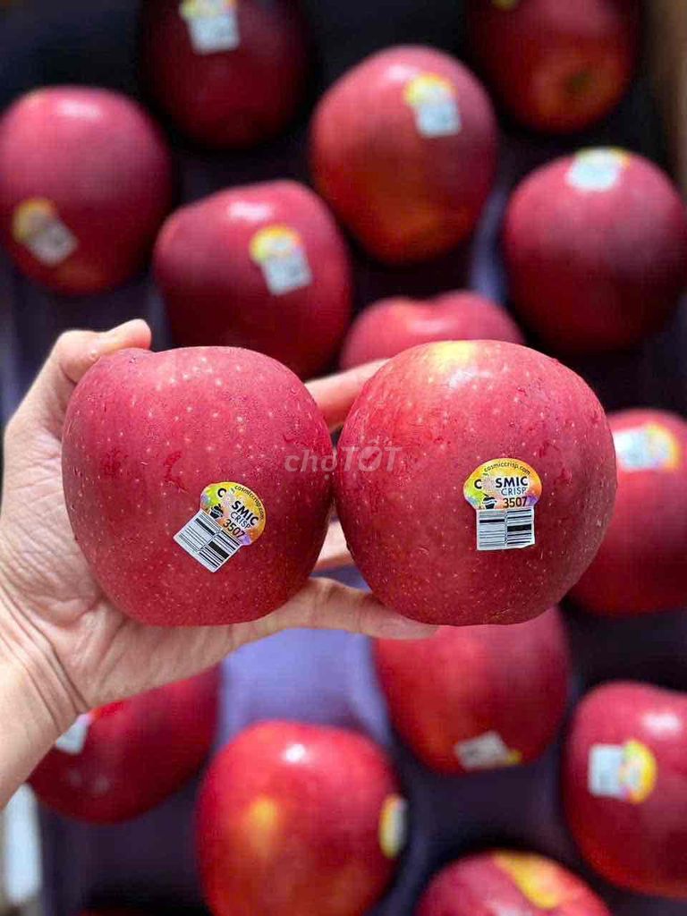 Táo COCMIS Đỏ ruby. Mua bán Đồ ăn, thực phẩm và các loại khác tại Thành phố Thủ Đức Tp Hồ Chí Minh được đăng bởi Trần Gia Minh hình 1