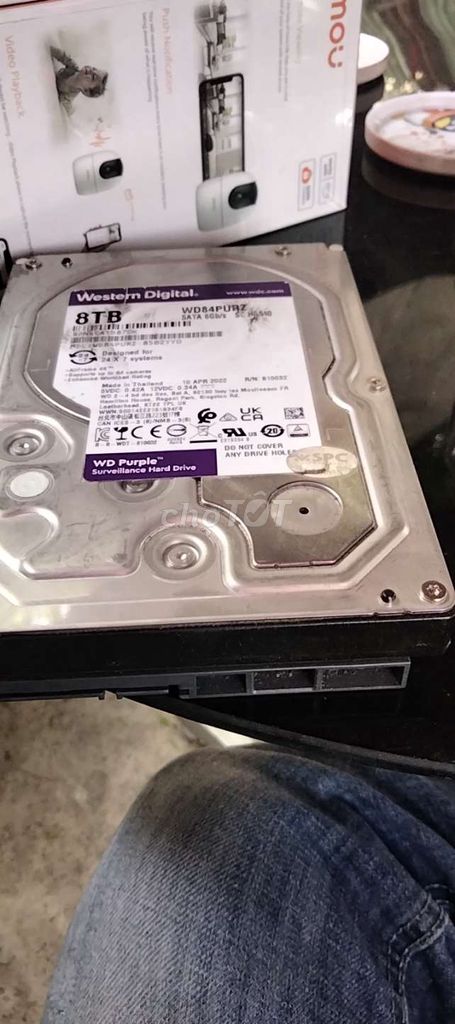 HDD WD 8T