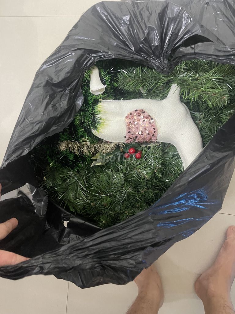 Mình cho đồ trang trí noel