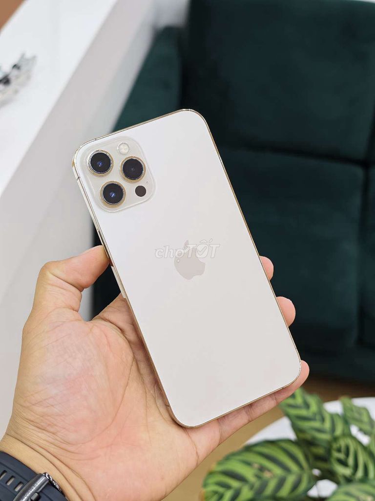 🍎IPHONE 12PROMAX 256GB GOLD NGUYÊN BẢN 98% P85👇. Mua bán Điện thoại tại Quận Hải An Hải Phòng được đăng bởi 98 Ngô Gia Tự Hoàng Dũng Mobile Ngã 3 Văn Cao hình 1