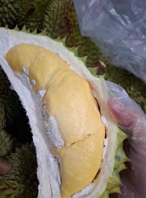 Sầu riêng Ri 6 vàng tươi ngon 1kg. Mua bán Đồ ăn, thực phẩm và các loại khác tại Quận 7 Tp Hồ Chí Minh được đăng bởi Song Nguyên 