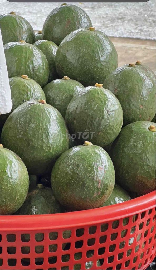 🥑BOOTH Đaklak Size Đại 2 trái+-/ kg ( Set 3kg 55k