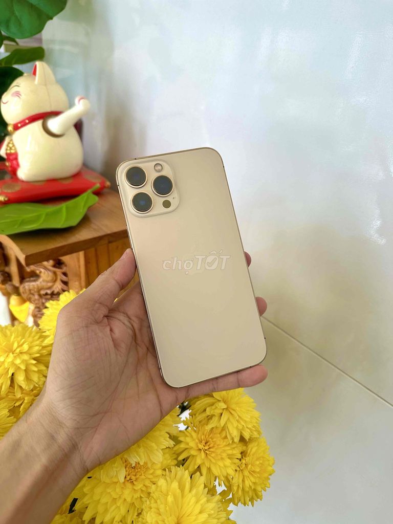 Apple iPhone 13 Pro Max Vàng Đã sử dụng. Mua bán Điện thoại tại Thành phố Long Xuyên An Giang được đăng bởi phong LX  hình 1