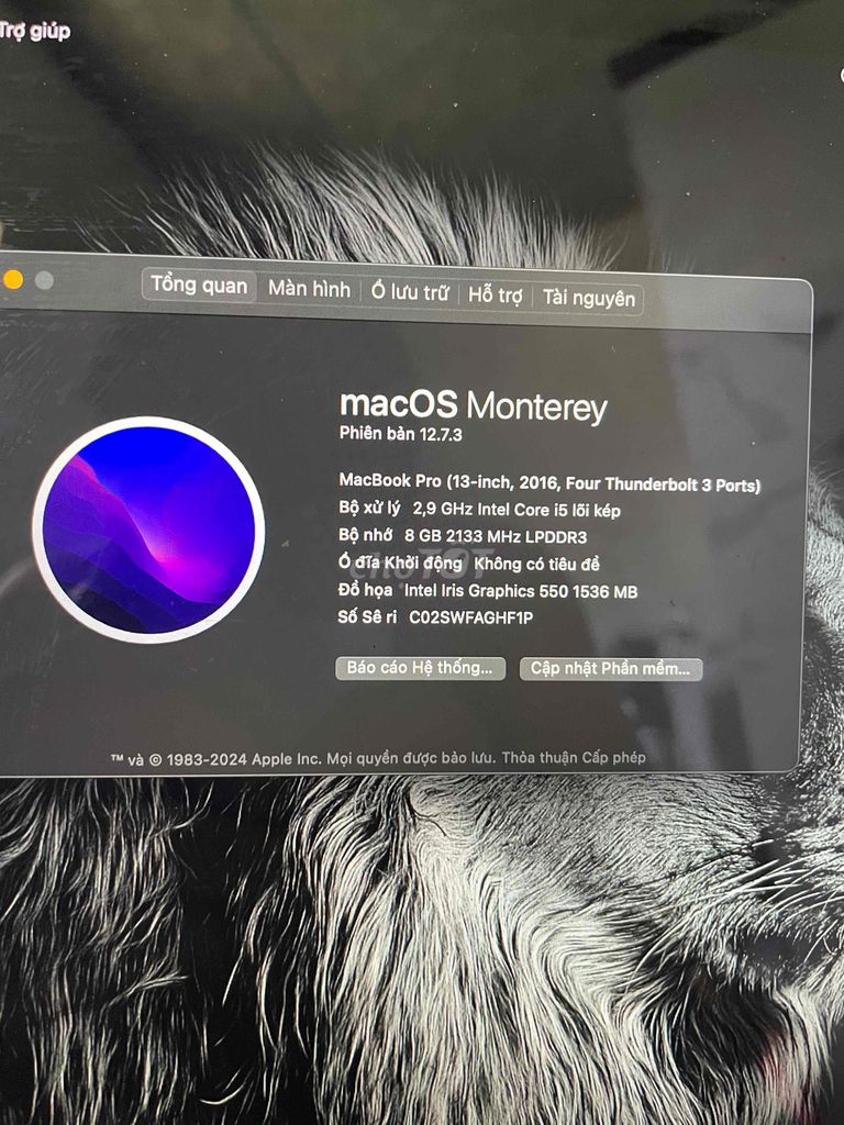 MacBook Pro 13-inch 2016, 8GB RAM, 512GB. Mua bán Laptop tại Quận Thanh Khê Đà Nẵng được đăng bởi Hoàng văn hình 3