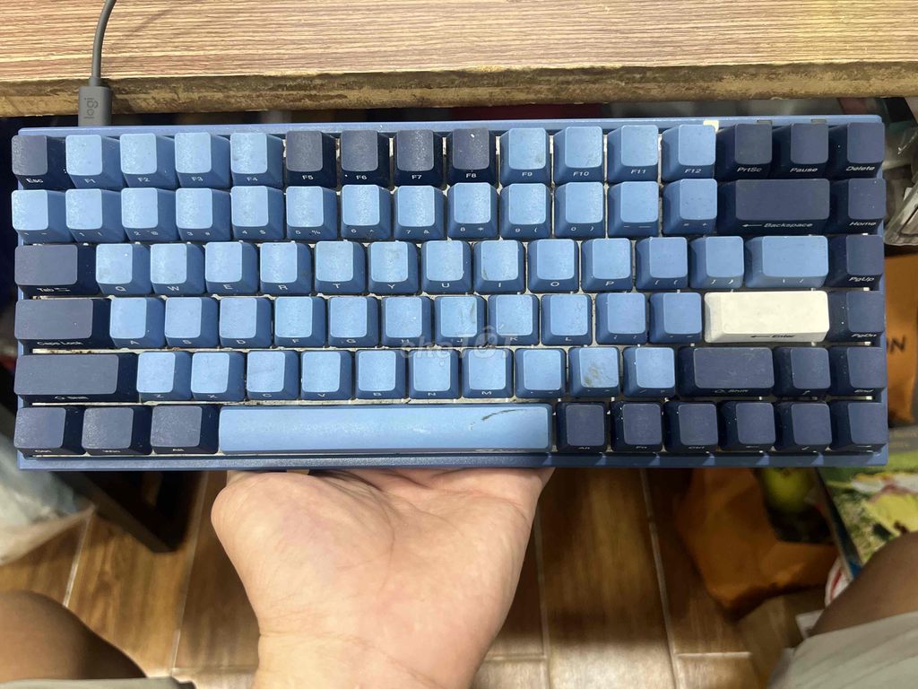 Bàn phím cơ AKKO 3084 Xanh. Mua bán Phụ kiện (Màn hình, Chuột...) tại Huyện Nhà Bè Tp Hồ Chí Minh được đăng bởi Nam hình 1