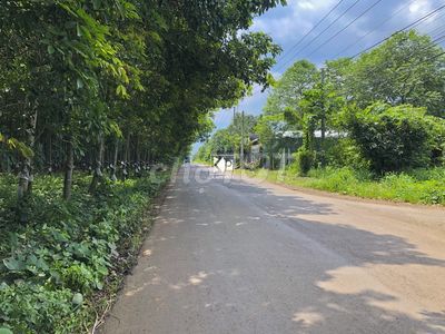 Bán lô đất 2400m2 giá 1 tỷ 50 triệu ở Minh Hòa DẦU TIẾNG GẦN DT744. Mua bán đất tại Huyện Dầu Tiếng Bình Dương được đăng bởi tuấn hình 1