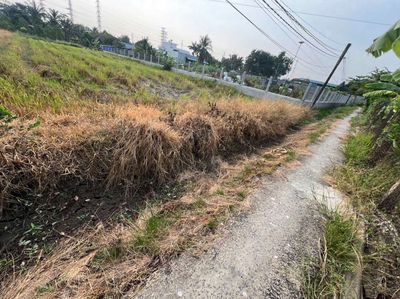 Bán  đất sau lưng mặt tiền quốc lộ 1A