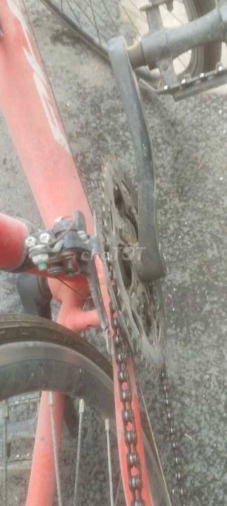 Xe đạp thể thao Phoenix Gravel Hợp kim nhôm. Mua bán Xe đạp tại Quận Tân Bình Tp Hồ Chí Minh được đăng bởi Lê Viết Hoà hình 3