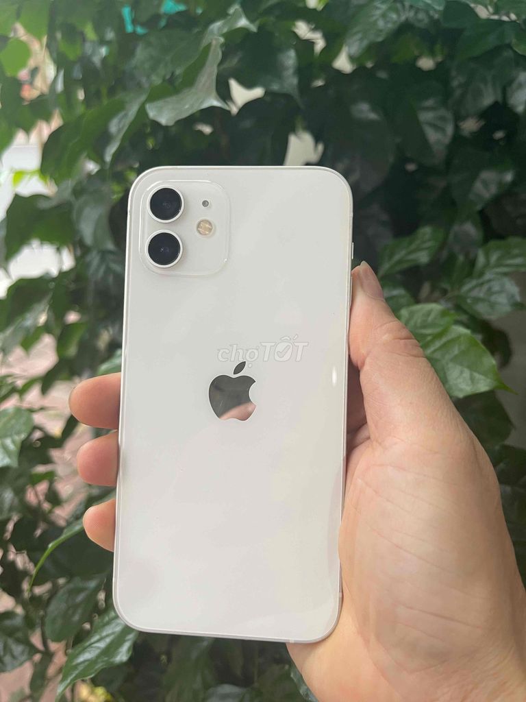 Apple iPhone 12 128GB Trắng 100%. Mua bán Điện thoại tại Thành phố Vũng Tàu Bà Rịa - Vũng Tàu được đăng bởi Nguyễn Văn Thành hình 1
