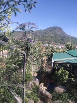 Cho thuê nhà nghỉ dưỡng riêng tư yên tĩnh ven đồi. Cho thuê nhà ở tại Huyện Đức Trọng Lâm Đồng được đăng bởi Tuấn Ta