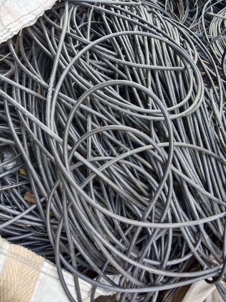 Dây nhựa làm giàn 5000đ/kg. Mua bán Đồ chuyên dụng, Giống nuôi trồng tại Huyện Trảng Bom Đồng Nai được đăng bởi Thiên Phúc  hình 1