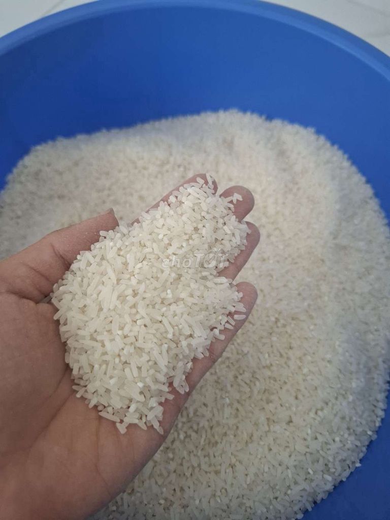 Gạo quê ngon 10kg Nguyên cám  dẻo thơm. Mua bán Đồ ăn, thực phẩm và các loại khác tại Quận Dương Kinh Hải Phòng được đăng bởi Oanh gạo quê xát mộc hình 1