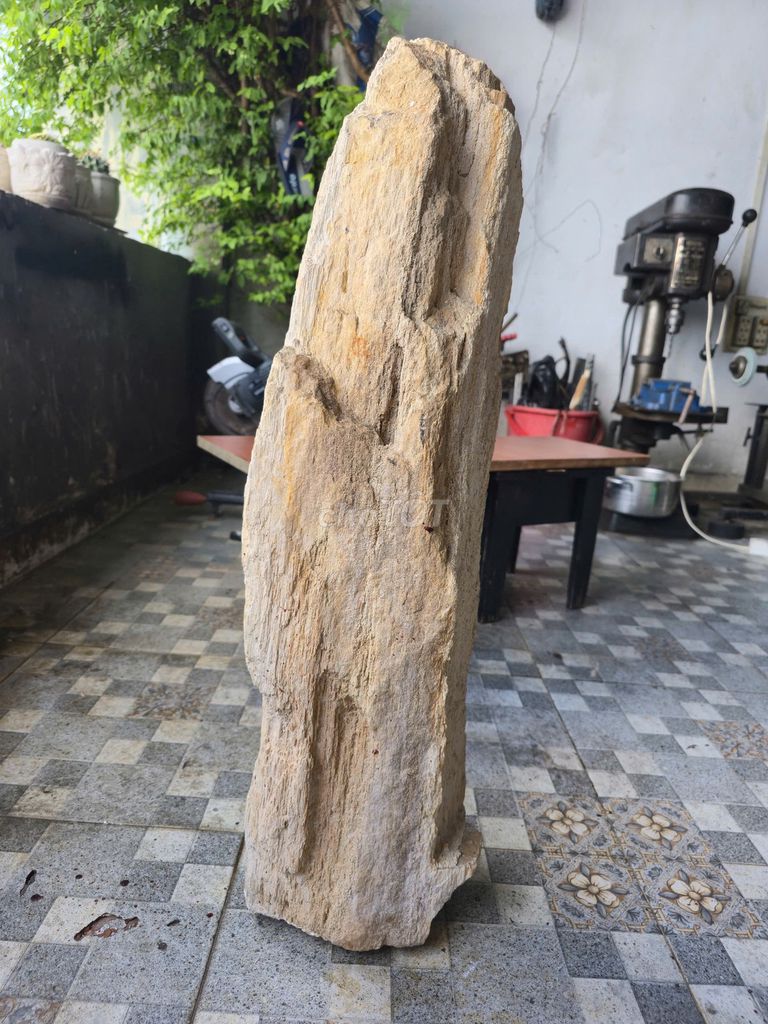 Vật phong thủy Đá gỗ hóa thạch 75cm. Mua bán Đồ sưu tầm, đồ cổ tại Quận 11 Tp Hồ Chí Minh được đăng bởi Shop hàng Nhật hình 1