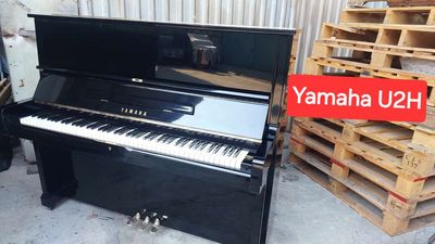 Combo 5 Piano Yamaha U2H, U1F, BL12, U1D, Eterna10