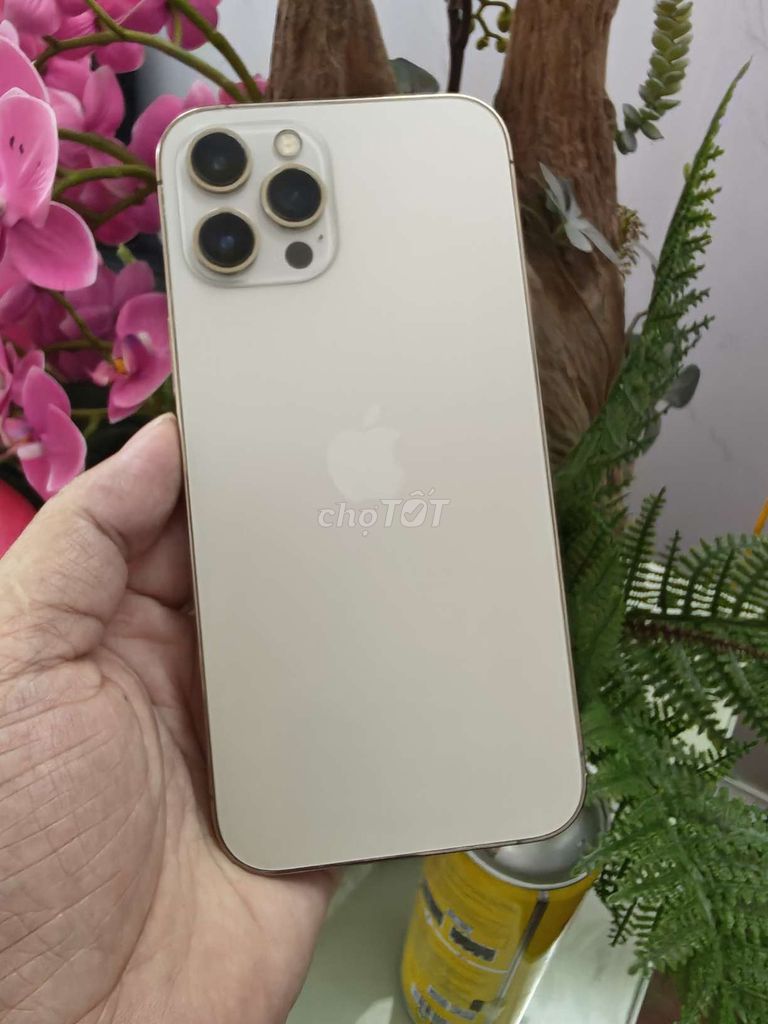 Apple iPhone 12 Pro Max 128GB Vàng . Mua bán Điện thoại tại Thành phố Buôn Ma Thuột Đắk Lắk được đăng bởi Tèo Điện Thoại  hình 1