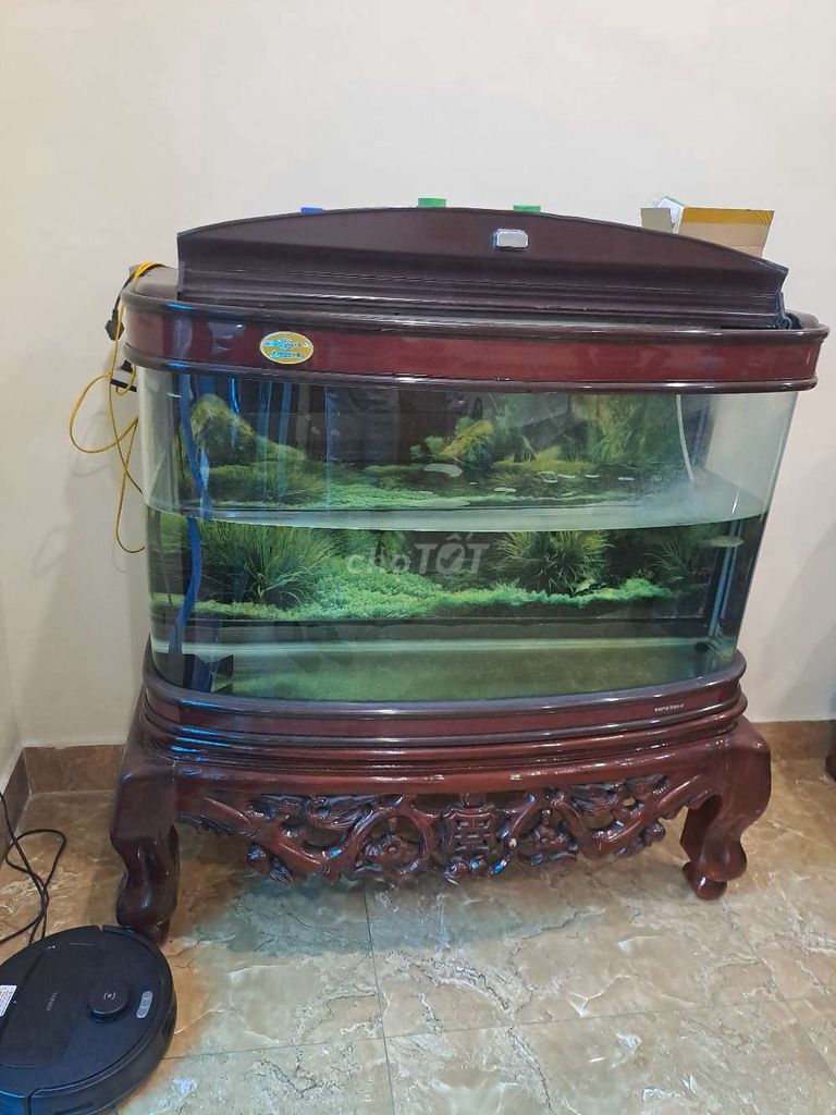 Bể cá cảnh Kính Gỗ Nâu 1.2m. Mua bán Phụ kiện, Thức ăn, Dịch vụ tại Quận Hải An Hải Phòng được đăng bởi ngọc tiến hình 1