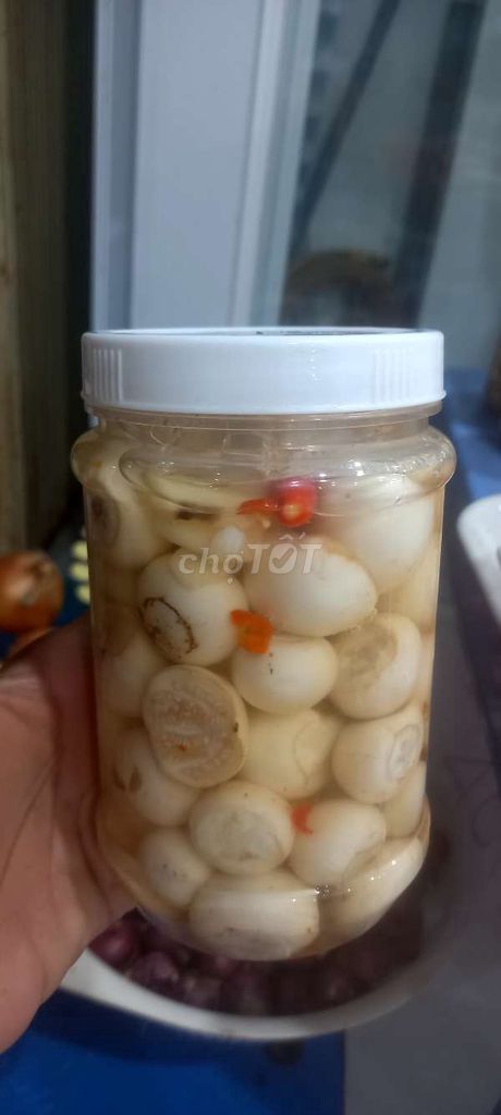 Cà pháo muối chua cay 1kg. Mua bán Đồ ăn, thực phẩm và các loại khác tại Quận 8 Tp Hồ Chí Minh được đăng bởi Nm hình 1