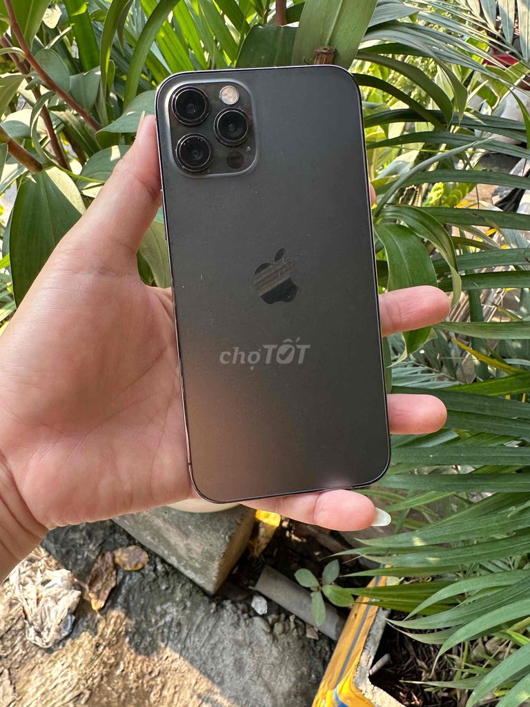 iPhone 12 Pro 128GB Xám Quốc tế Full zin. Mua bán Điện thoại tại Quận 7 Tp Hồ Chí Minh được đăng bởi Quốc hình 1