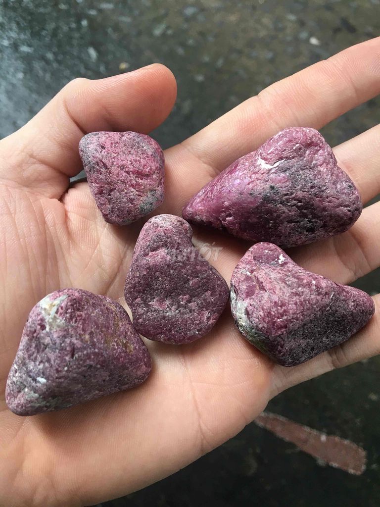 Ruby phi thô, sưu tầm và chế tác trang sức